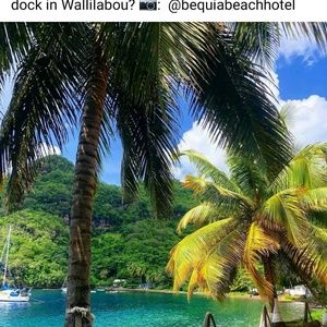 Meet your Posher, Kathy-ann